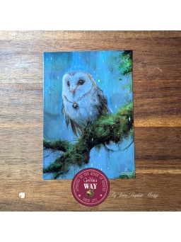 Tatarimokke © tm Jean-Baptiste Monge / cartes postales - reproduction et utilisation interdite sans consentement