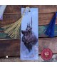 Chasse Sauvage © tm Jean-Baptiste Monge / marque-page - reproduction et utilisation interdite sans consentement